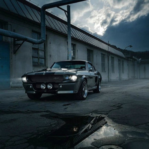 Ford Mustang ,Форд Мустанг